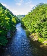 厚い流れを割って飛び出すニジマス 北海道 渚滑川の釣り旅 釣り旅の記録 Ana釣り倶楽部 Ana Sky Web