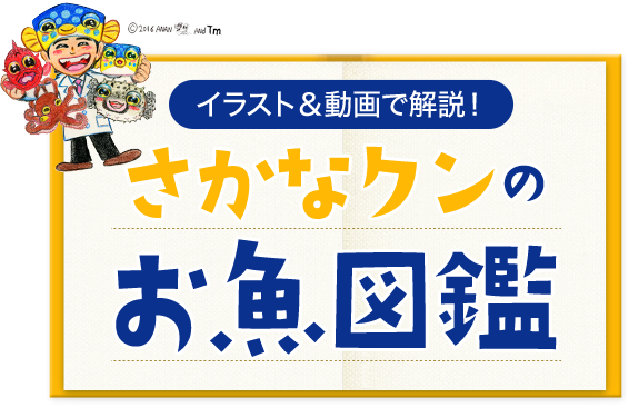 これまでで最高のイラスト さかなくん かわいい動物画像