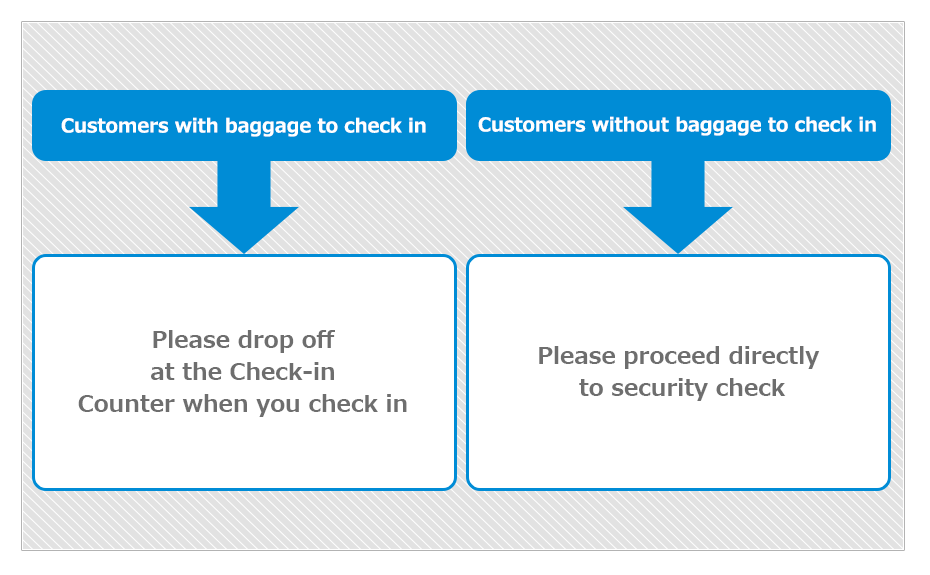 Penumpang yang melakukan proses check-in di bandara dan memiliki bagasi yang harus didaftarkan harus menitipkan bagasi mereka di loket check-in. Penumpang yang tak memiliki bagasi untuk didaftarkan, silahkan langsung menuju tempat pemeriksaan keamanan.