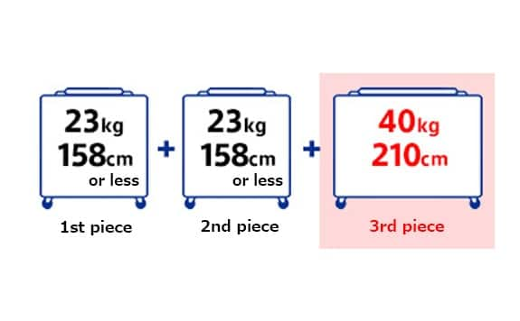 safari extra baggage charges