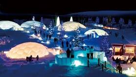 TOMAMU度假村（仅供参考）