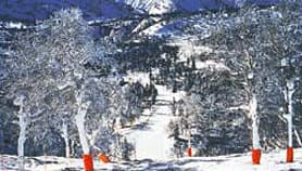 KIRORO银雪世界（仅供参考）