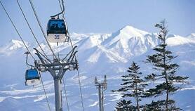 富良野度假村（仅供参考）