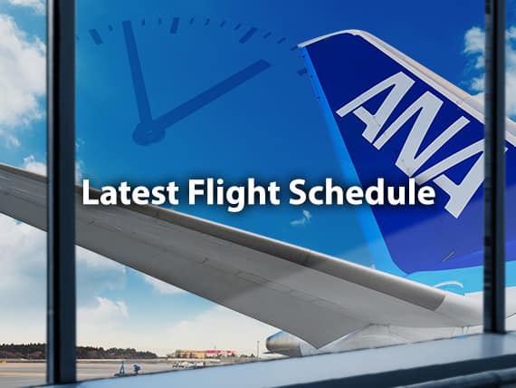 Latest Flight Schedule