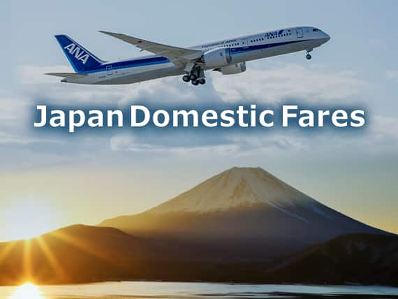 Japan Domestic Fares