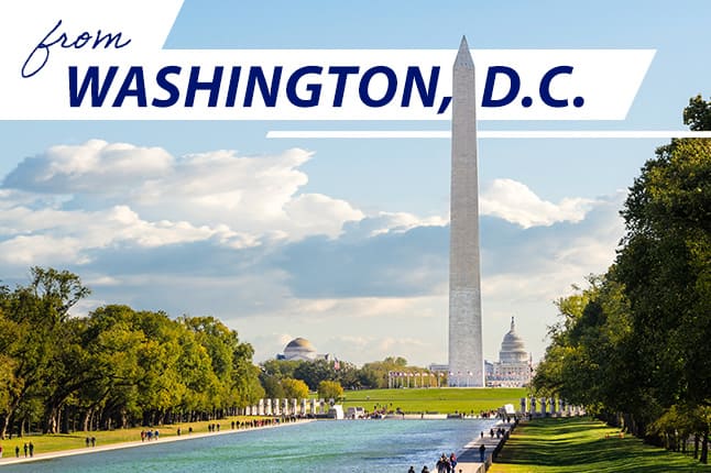 from Washington, D.C.