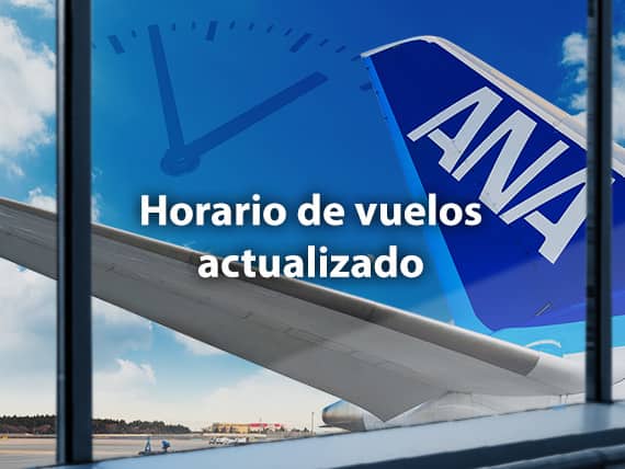 Horario de vuelos actualizado
