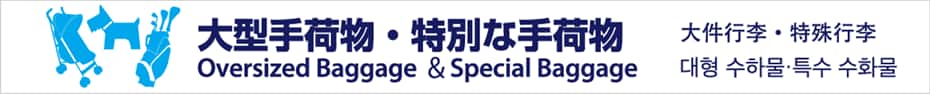大件行李与特殊行李