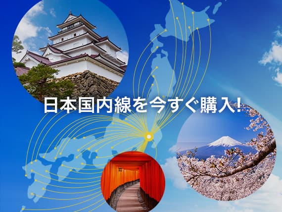 日本国内線を今すぐ購入！