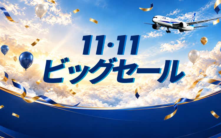 11.11ビッグセール