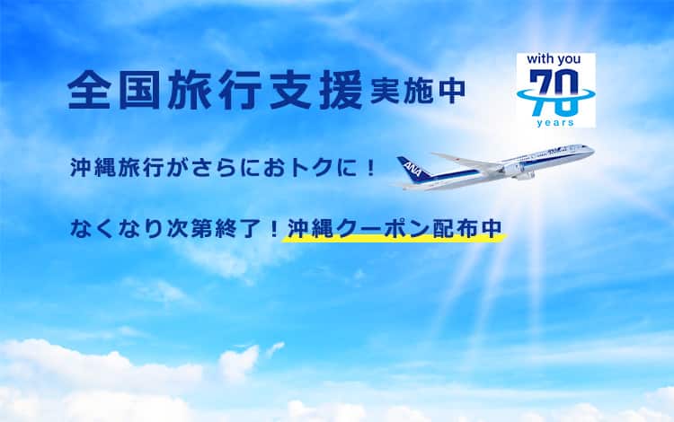 Anaの国内線 航空券 飛行機 予約 Ana