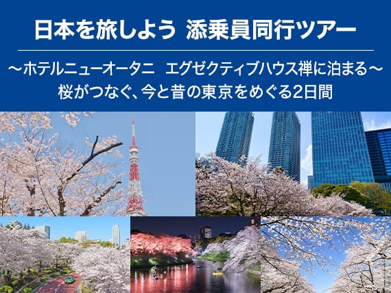 日本を旅しよう 添乗員同行ツアー ～ホテルニューオータニ エグゼクティブハウス禅に泊まる～ 桜がつなぐ、今と昔の東京をめぐる2日間