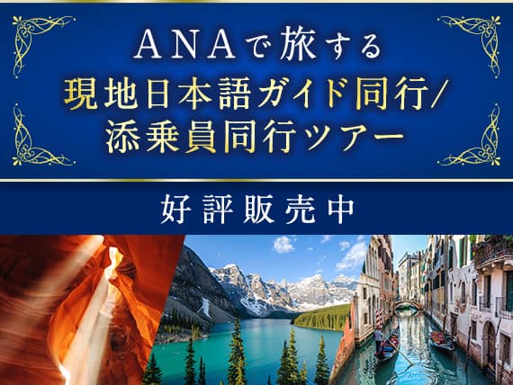ANAで旅する現地日本語ガイド同行／添乗員同行ツアー 好評販売中