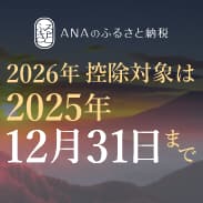 ANAのふるさと納税　2026年控除対象は2025年12月31日まで