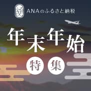 ANAのふるさと納税　年末年始特集