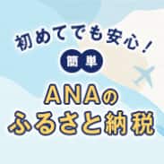 初めてでも安心！簡単　ANAのふるさと納税