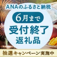 ANAのふるさと納税 6月まで受付終了返礼品 抽選キャンペーン実施中