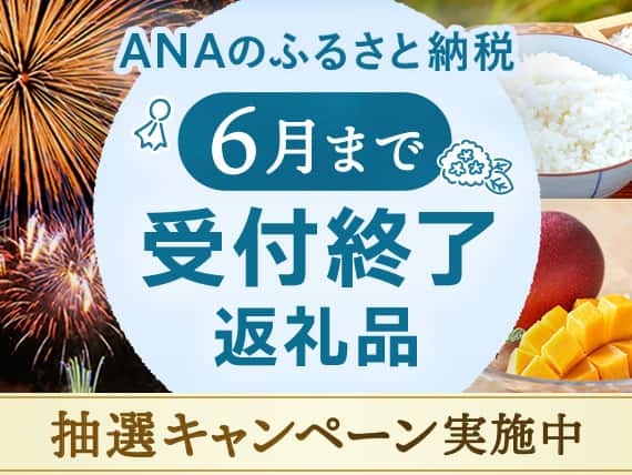 ANAのふるさと納税 6月まで受付終了返礼品 抽選キャンペーン実施中