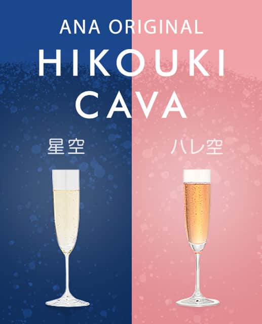 ANA ORIGINAL HIKOUKI CAVA 星空 ハレ空