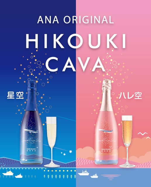 ANA ORIGINAL HIKOUKI CAVA 星空 ハレ空