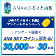 あなたの声が、地域の魅力に。「ANAのふるさと納税」アンケートキャンペーン！アンケート回答でANA SKY コインが当たる！ 30,000円分×30名様 期間：2026年9月1日火曜日から2026年9月30日水曜日まで