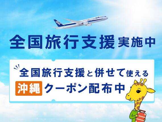 Anaの航空券 飛行機 予約 空席照会 運賃案内 Ana