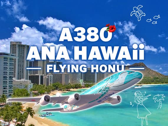 A380 ANA Hawaii FLYING HONU