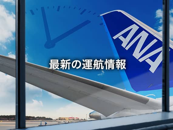 最新の運航情報