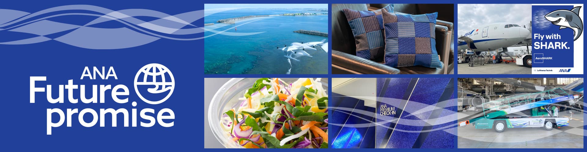 ANA Future Promise