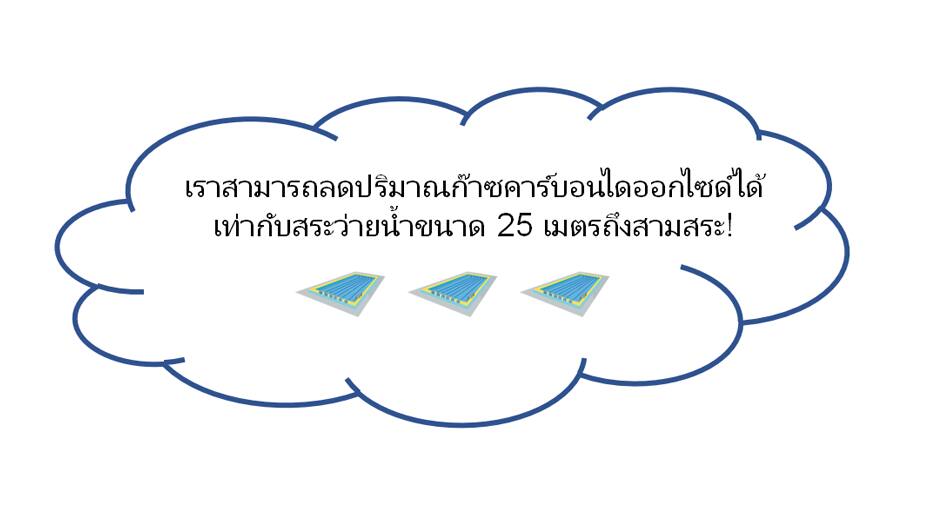เราลดปริมาณการปล่อยก๊าซคาร์บอนไดออกไซด์เท่ากับสระว่ายน้ำขนาด 25 เมตรสามสระ! ภาพประกอบของสระว่ายน้ำสามสระที่อยู่ติดกัน