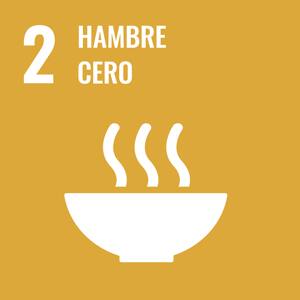 SDGs Objetivo 2 HAMBRE CERO