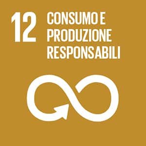OSS n. 12 CONSUMO E PRODUZIONE RESPONSABILI