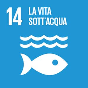 SDGs n.14 LA VITA SOTT’ ACQUA