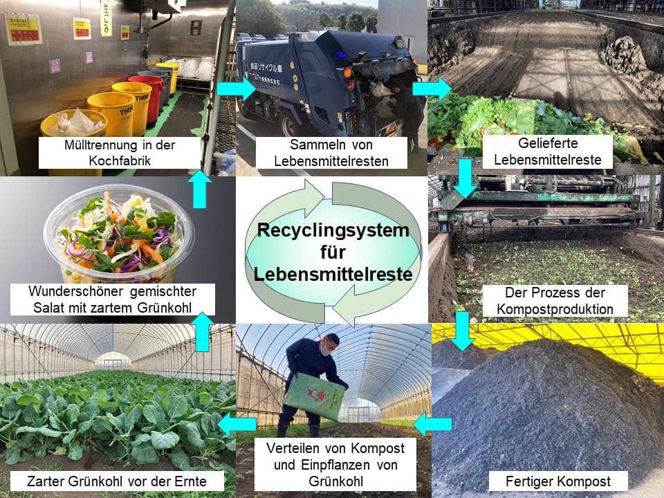 Fotos des Herstellungsprozesses von Grünkohl auf Lebensmittelresten. (1) Mülltrennung im Werk der Speisenherstellung, (2) Sammlung von Lebensmittelresten, (3) Prozess der Kompostherstellung, (4) Verteilen von Kompost und Anpflanzen von Grünkohl und (5) Ernte von Grünkohl.