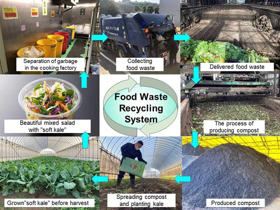 Photographs of the process of making kale from food residues. (1) Separation of garbage  in the cooking factory, (2) Collection of food residues, (3) Process of turning into compost, (4) Spreading compost and planting kale, and (5) Harvesting kale.