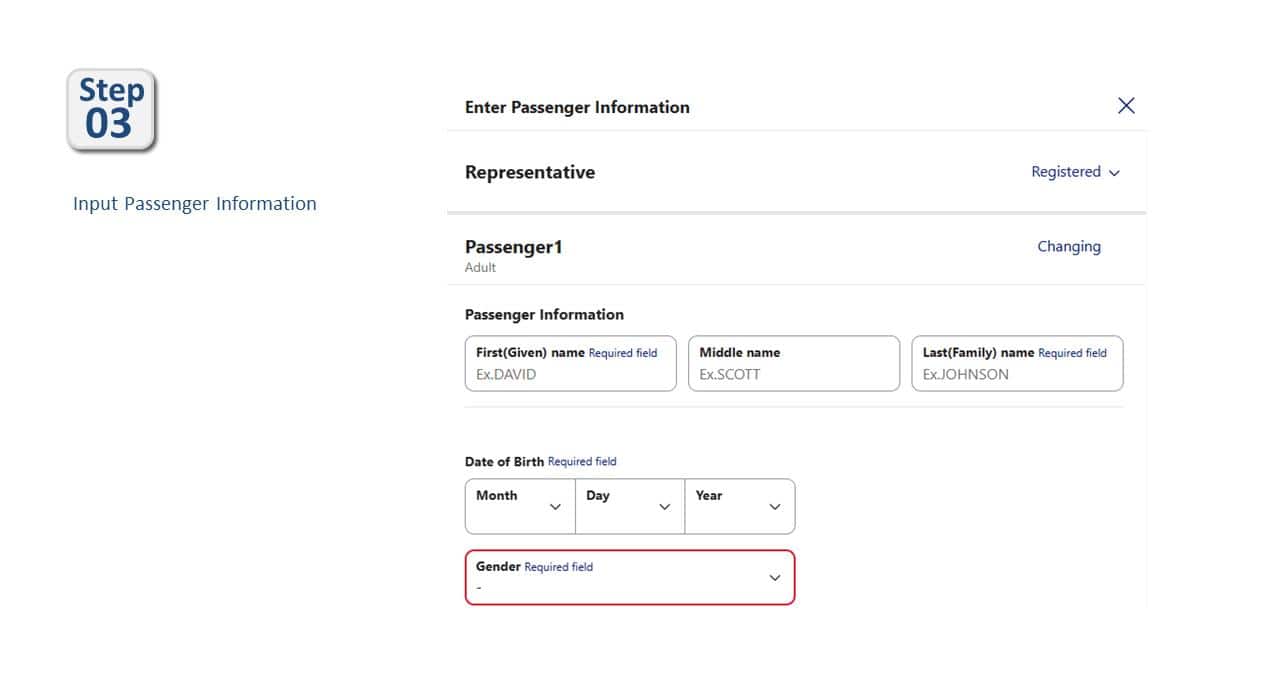 Step03 Input Passenger information