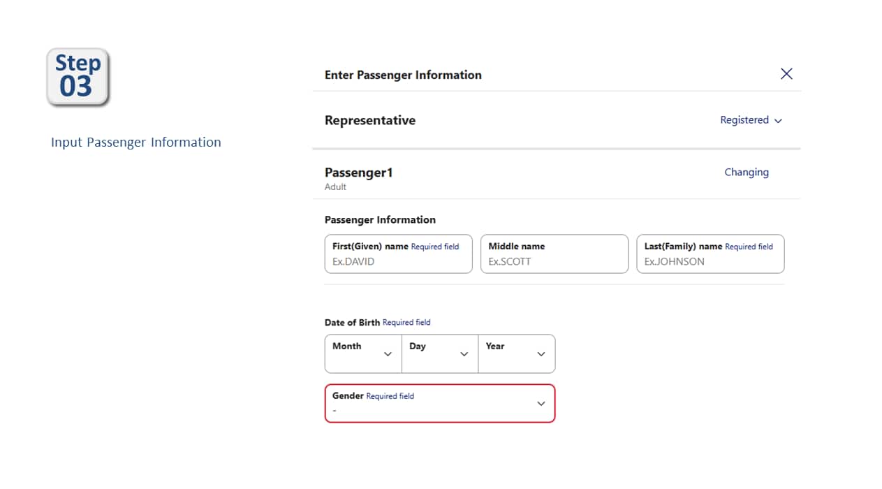 Input Passenger information