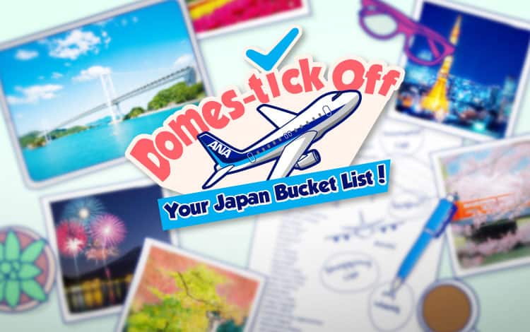 Domes-tick Off Your Japan Bucket List!