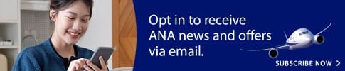 Opt in receive ANA news and offers via email.