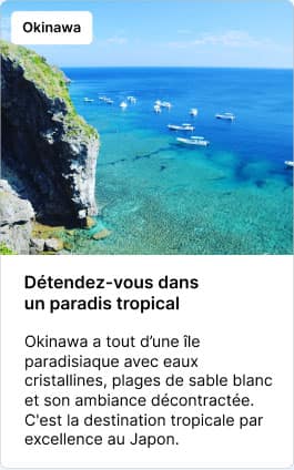 Hokkaido Profitez pleinement des joies de l'hiver – des pistes de ski de classe mondiale aux fruits de mer frais ; Hokkaido ne manquera pas de vous émerveiller en hiver.