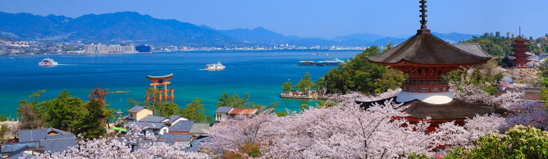 Spring in Japan