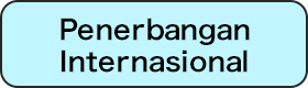 Penerbangan Internasional