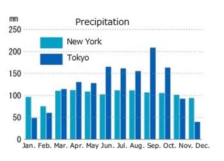 New York City Airport and City Info Airport and City Info At the