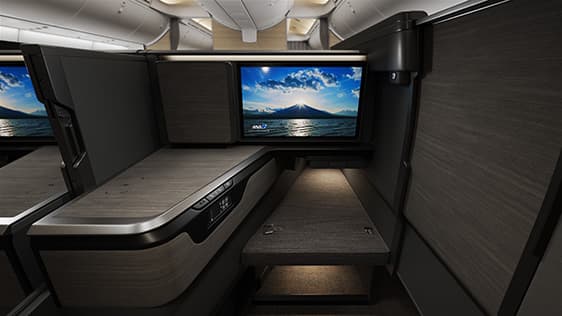 Photo of Staggered Seats of B787-9 (206-seat) Business Class seats