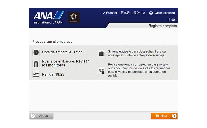 Paso 10: Pantalla Completar check-in