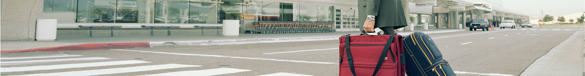 ご帰国者様用ハイヤー送迎サービス 羽田空港 成田空港 ご帰国あんしんサービス ご旅行の準備 Ana