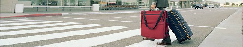 ご帰国者様用ハイヤー送迎サービス 羽田空港 成田空港 ご旅行の準備 Ana