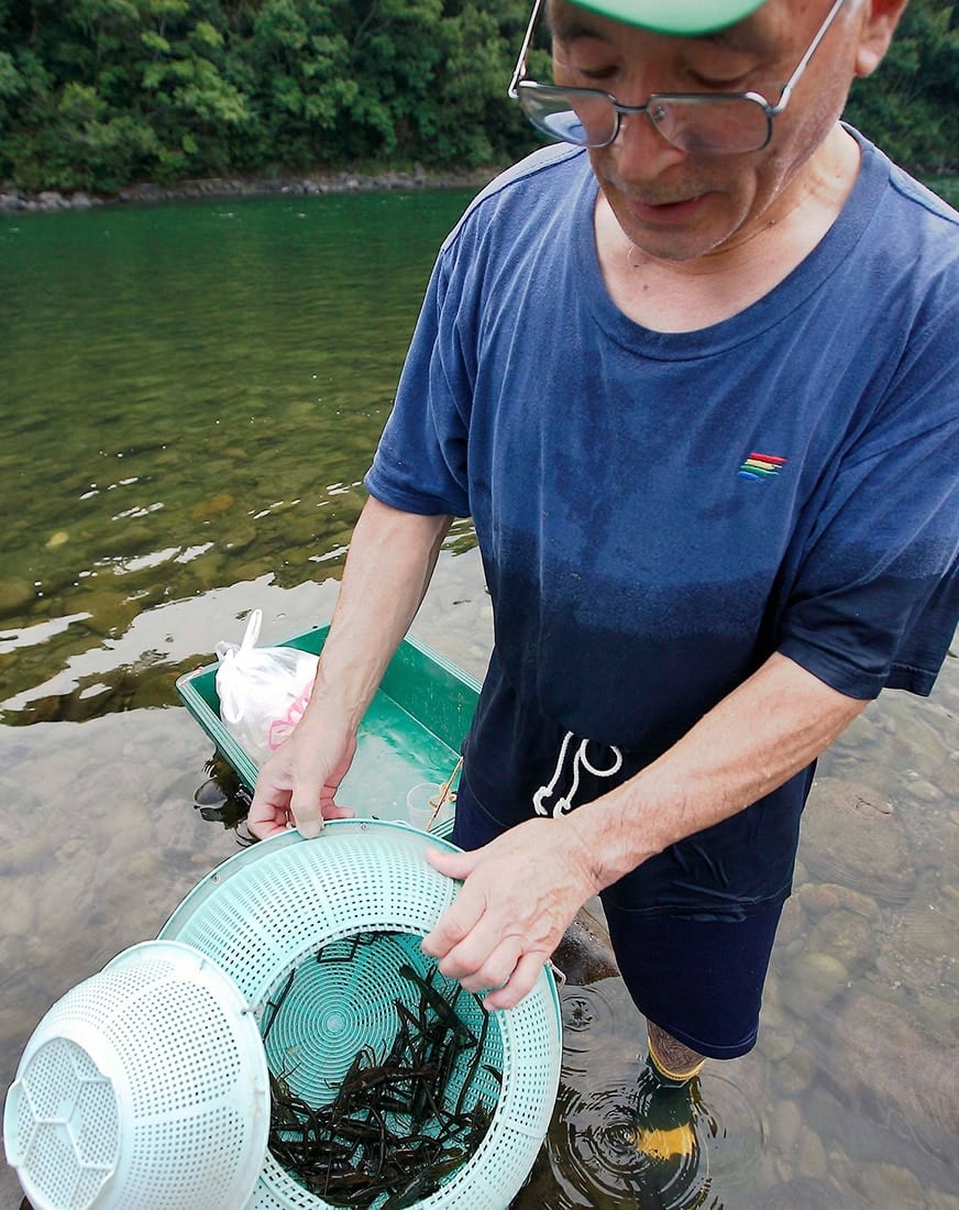 高知県 四万十川 水とともに生きる川漁文化が根付いた全国屈指の心洗う清流 Ana Travel Life