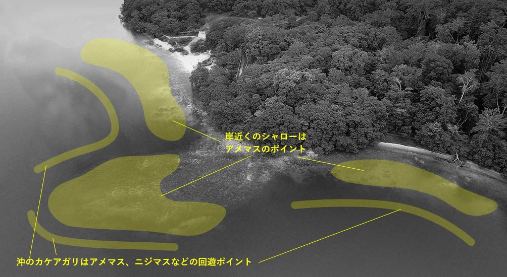 「ボッケ」の航空写真の上に、シャローやカケアガリ、ニジマスやアメマスの回遊するポイントを示す文字が載せられています。