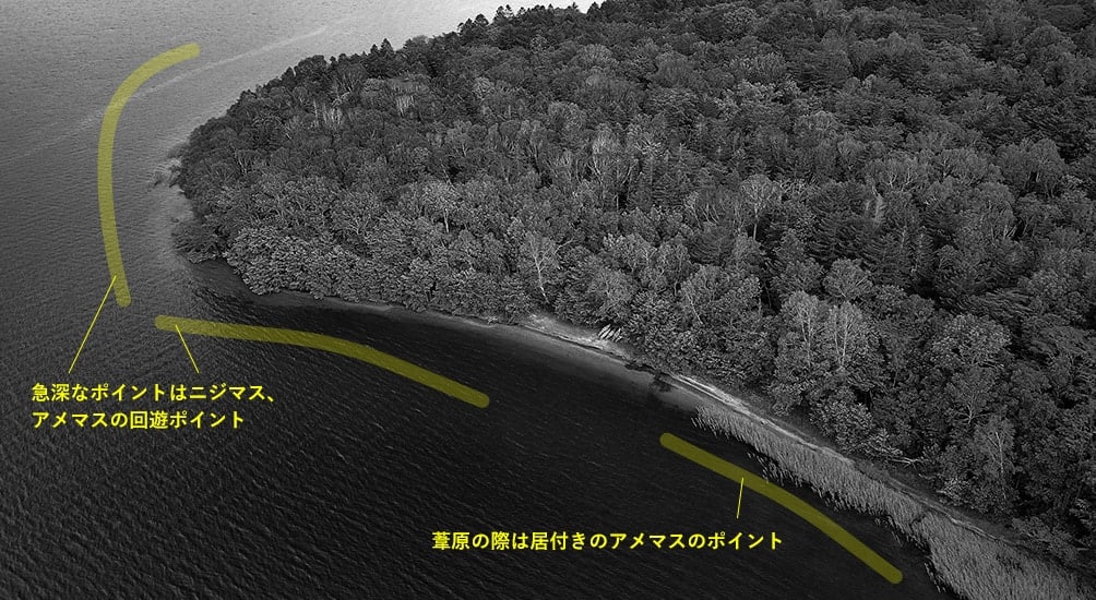 「キナチャウシ湾」の航空写真の上に、ニジマスやアメマスの回遊するポイントを示す文字が載せられています。